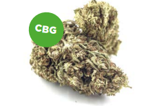 Orange Bud CBG – Natürliche Hanfblüten (Standard Qualität)